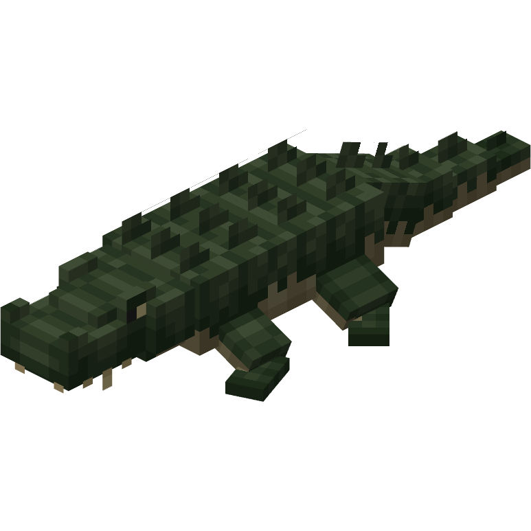 Alligator