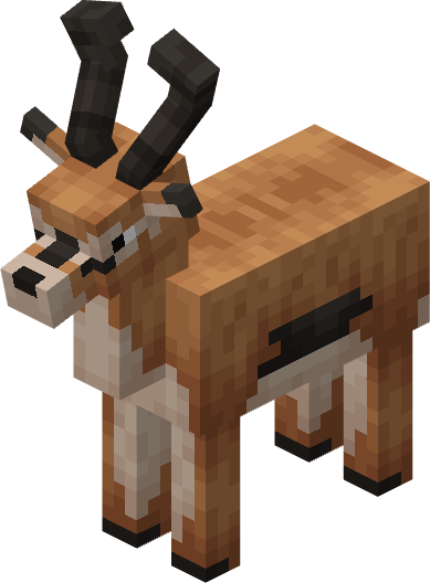 Antilope