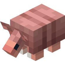 Bébé tatou