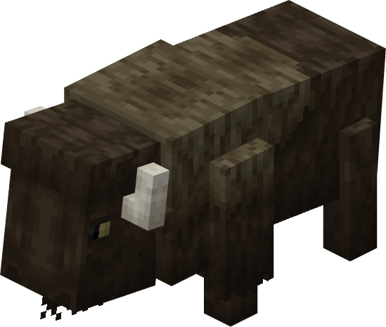 Bison