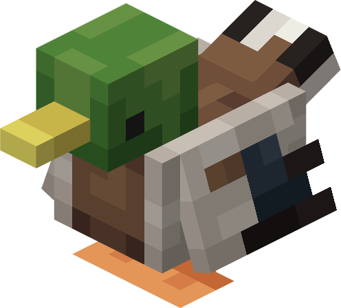 Canard